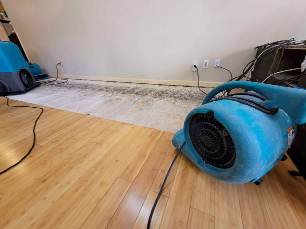 Professional Ceiling Water Damage Repair technician working in Jonesville, VA
